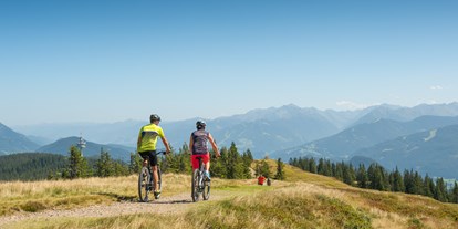 Mountainbike Urlaub - Klassifizierung: 4 Sterne S - Schladming - © Tourismusverband Radstadt/Lorenz Masser - Gut Weissenhof ****Superior