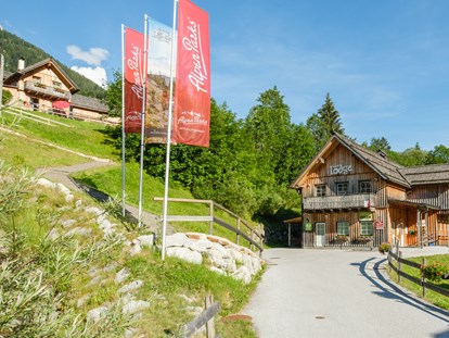 Mountainbike Urlaub - geführte MTB-Touren - Schladming - AlpenParks Hagan Lodge Altaussee