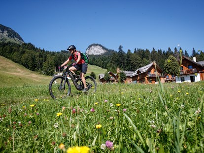 Mountainbike Urlaub - Biketransport: sonstige Transportmöglichkeiten - AlpenParks Hagan Lodge Altaussee