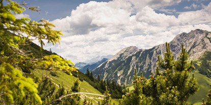 Mountainbike Urlaub - Pools: Außenpool beheizt - Tiroler Oberland - BERGBUDDIES