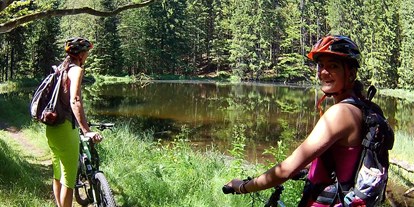 Mountainbike Urlaub - Umgebungsschwerpunkt: am Land - Bodenmais - Bikeausflug zum Arbersee - Gasthof Mühle / Natur- & Wanderhotel