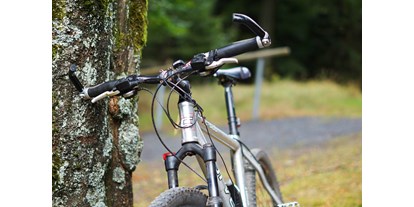 Mountainbike Urlaub - Fahrrad am Zimmer erlaubt - Lauscha - Mountainbike - Hotel Beck