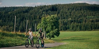 Mountainbike Urlaub - Wellnessbereich - Büchlberg - Hotel Guglwald