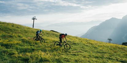 Mountainbike Urlaub - Biketransport: öffentliche Verkehrsmittel - Naturarena - Chalets und Apartments Hauserhof