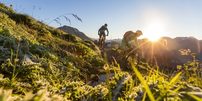 Mountainbike Urlaub - Fahrradwaschplatz - Langwies (Arosa) - Nira Alpina