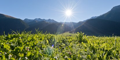 Mountainbike Urlaub - Wellnessbereich - Matrei in Osttirol - Aussicht - Mountain Residence Montana