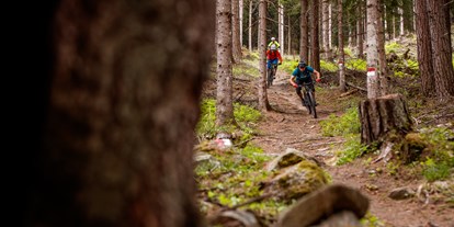 Mountainbike Urlaub - Biketransport: Bergbahnen - Meran und Umgebung - Biketour - Feldhof DolceVita Resort