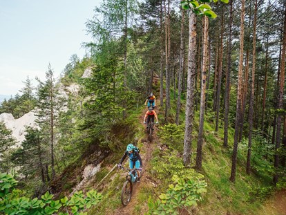 Mountainbike Urlaub - Drobollach am Faaker See - Herausfordernde Routen - Ferienwohnungen und Seebungalows am Faaker See - Karglhof OG