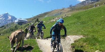 Mountainbike Urlaub - Naturns bei Meran - Alpengasthof Grüner