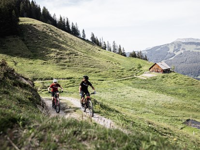 Mountainbike Urlaub - Biketransport: Bike-Shuttle - Damüls - MTB-Touren - Alpen Hotel Post