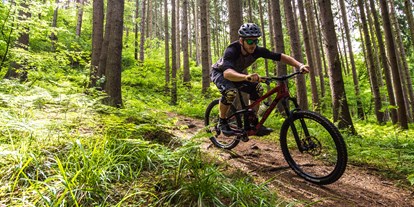 Mountainbike Urlaub - E-Bike Ladestation - Westerwald - MTB-Tour durch den Westerwald - Hotel Zugbrücke Grenzau GmbH