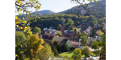 Mountainbike Urlaub - Fahrradwaschplatz - Badenweiler - Ortsansicht - Hotel Morgensonne
