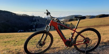 Mountainbike Urlaub - E-Bike Ladestation - Eisenbach (Hochschwarzwald) - Waldhotel am Notschreipass