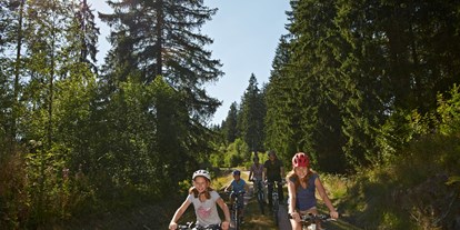 Mountainbike Urlaub - Bikeverleih beim Hotel: E-Mountainbikes - Waldkirch (Emmendingen) - Waldhotel am Notschreipass