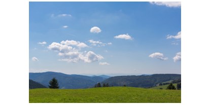 Mountainbike Urlaub - Fahrradraum: vorhanden - Schwarzwald - Aussicht vom Radschert  - Waldhotel am Notschreipass