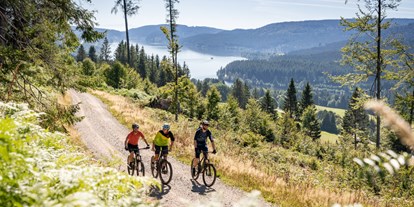 Mountainbike Urlaub - Biketransport: öffentliche Verkehrsmittel - Steinen (Landkreis Lörrach) - Waldhotel am Notschreipass
