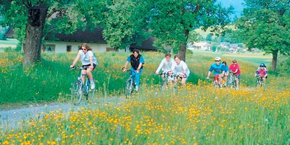 Mountainbike Urlaub - Bikeverleih beim Hotel: Mountainbikes - Feld am See - Hotel - Appartment Kristall