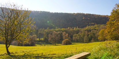 Mountainbike Urlaub - Umgebungsschwerpunkt: am Land - Hessen Nord - Avital Resort