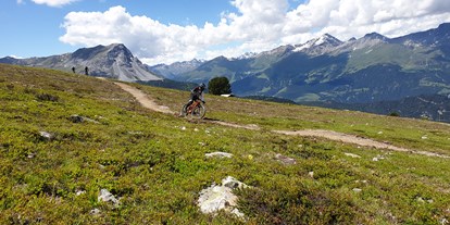 Mountainbike Urlaub - Biketransport: öffentliche Verkehrsmittel - Graun im Vinschgau - Zirmtrail - Hotel Bergblick