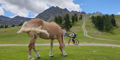 Mountainbike Urlaub - Fahrradwaschplatz - Tirol - Bergkastel - Hotel Bergblick