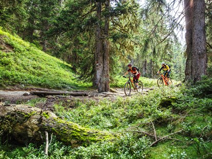 Mountainbike Urlaub - Biketransport: sonstige Transportmöglichkeiten - Österreich - Hotel Das Neuhaus****S
