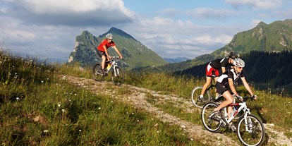 Mountainbike Urlaub - Umgebungsschwerpunkt: Berg - Oberstaufen - Hotel die Wälderin_Mountainbiken  - Hotel die Wälderin