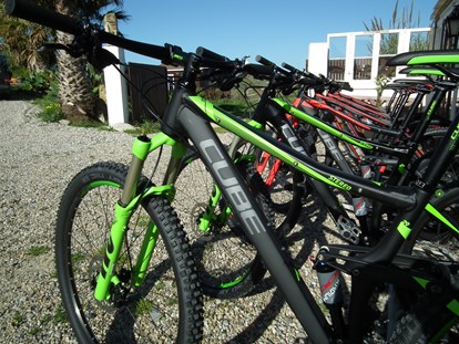 Mountainbike Urlaub - Garten - Lissabon - Da Silva Bike Camp Portugal