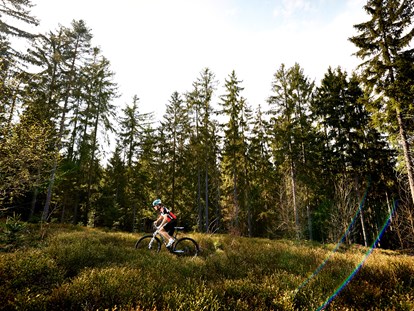 Mountainbike Urlaub - Erkunden Sie mit dem MTB die wundervolle Natur direkt vor der Haustür - Das Reiners