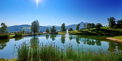 Mountainbike Urlaub - Pools: Schwimmteich - Großarl - Sonnberg Ferienanlage