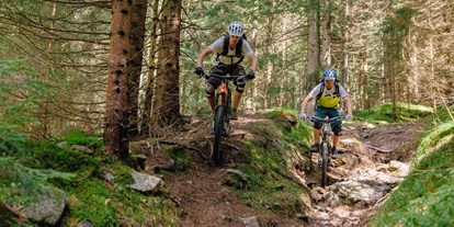 Mountainbike Urlaub - organisierter Transport zu Touren - Österreich - Ortners Eschenhof