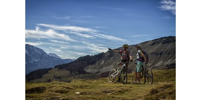 Mountainbike Urlaub - Hunde: erlaubt - Altaussee - Blick auf die Berge im Salzburgerland - DAS Hintersee