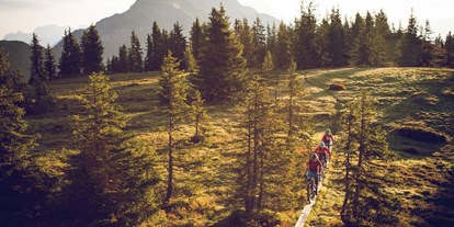 Mountainbike Urlaub - Hotel-Schwerpunkt: Mountainbike & Ruhe - Salzburg - Naturhotel Schütterbad