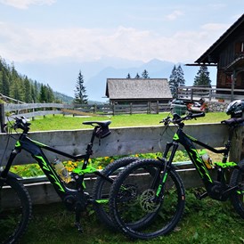 Mountainbikehotel: Hütteneckalm mit Blick auf Dachstein - Kirchenwirt Sport und Wanderhotel 