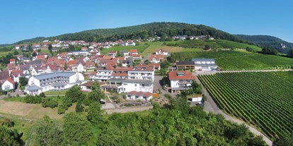 Mountainbike Urlaub - WLAN - Pfalz - Luftbild - Hotel Südpfalz-Terrassen