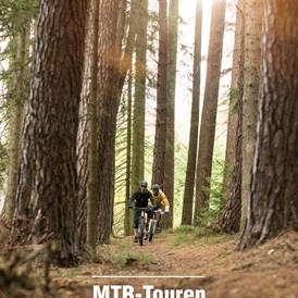 Mountainbikehotel: Trails auf dem Weg zur Weidelsburg - Landhotel Sonneneck